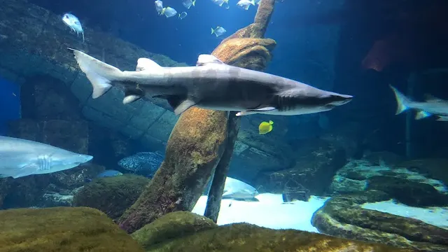 Long Island Aquarium photo 1