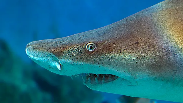 The Maritime Aquarium at Norwalk photo 1